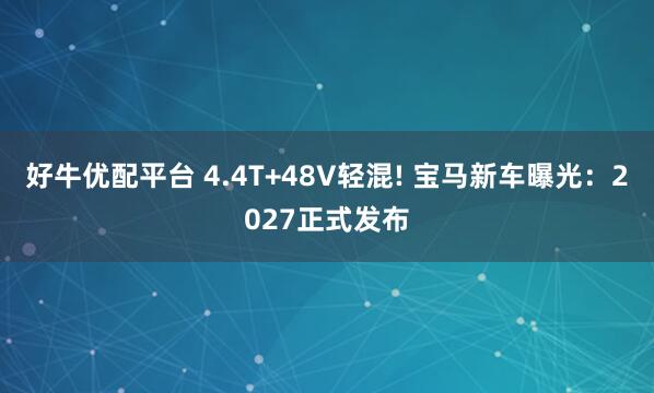 好牛优配平台 4.4T+48V轻混! 宝马新车曝光：2027正式发布