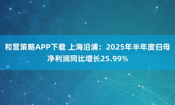 和营策略APP下载 上海沿浦：2025年半年度归母净利润同比增长25.99%