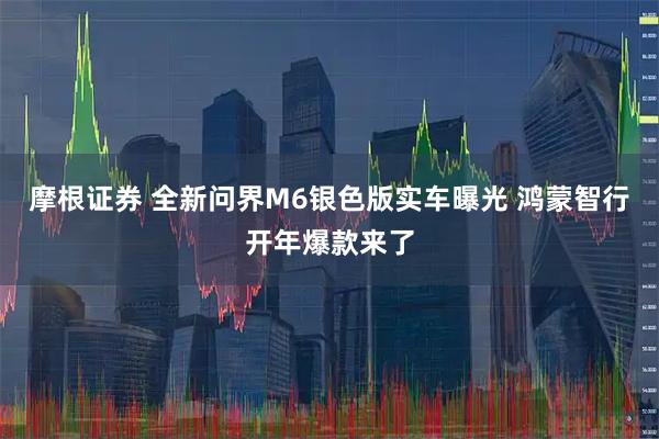 摩根证券 全新问界M6银色版实车曝光 鸿蒙智行开年爆款来了