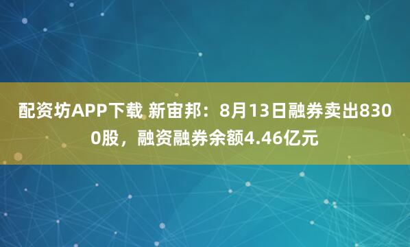 配资坊APP下载 新宙邦：8月13日融券卖出8300股，融资融券余额4.46亿元